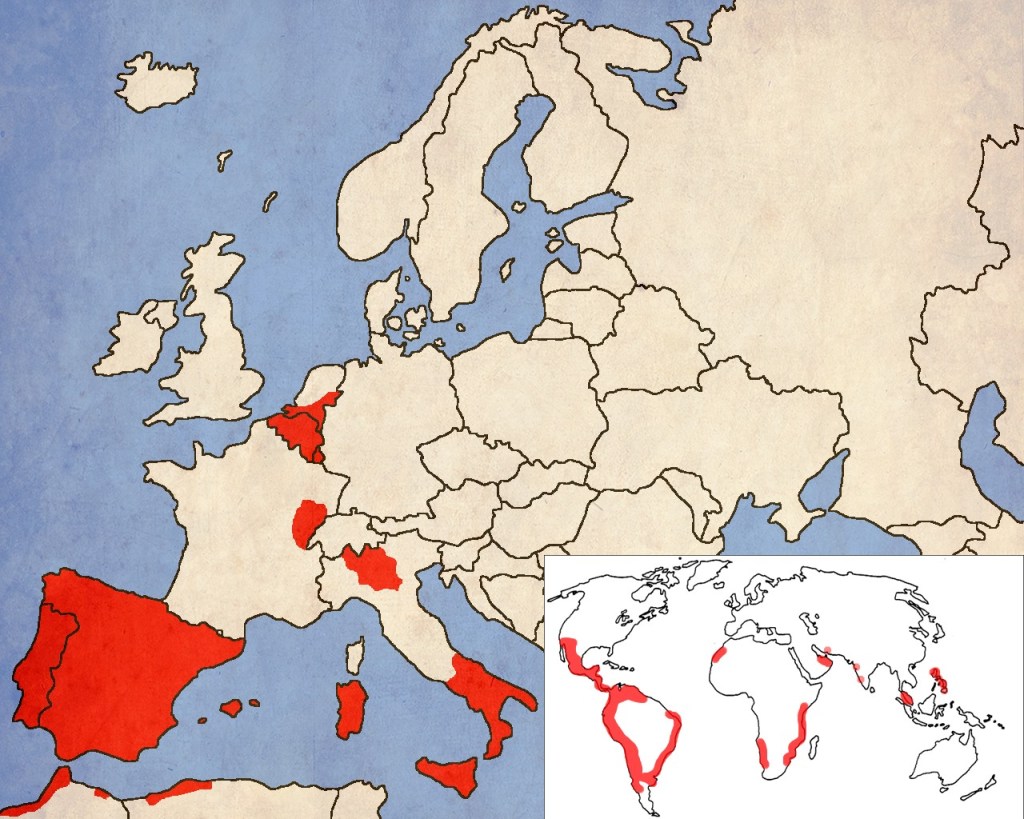 Вървейки една крачка пред баща си, Фелипе заменя Европа за Света